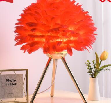 Feather Lamp