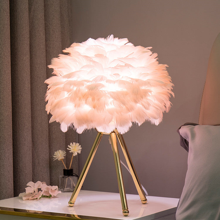 Feather Lamp