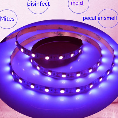 Purple LED Lights