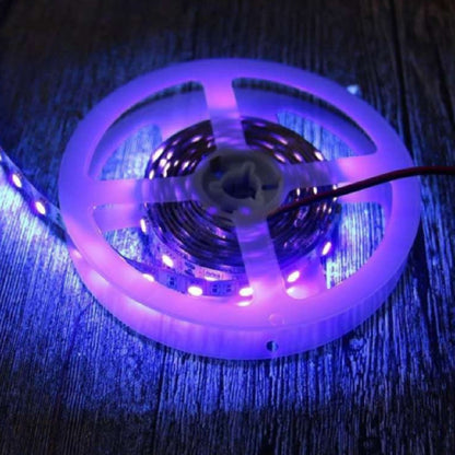 Purple LED Lights