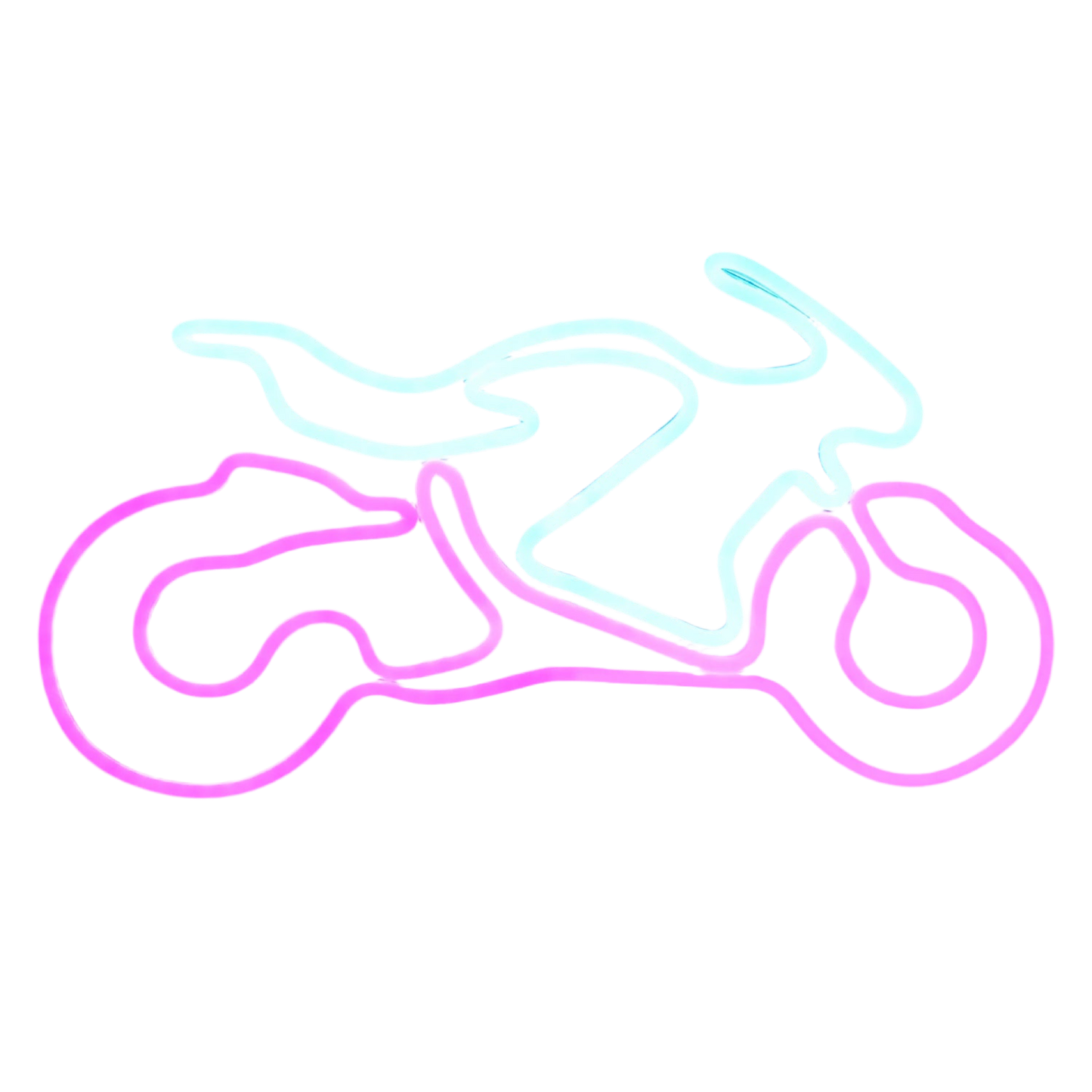 Motorcycle LED Neon Light