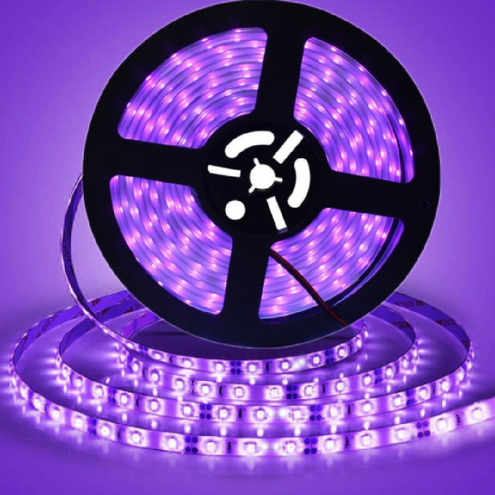 Purple LED Lights