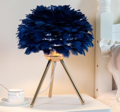 Feather Lamp