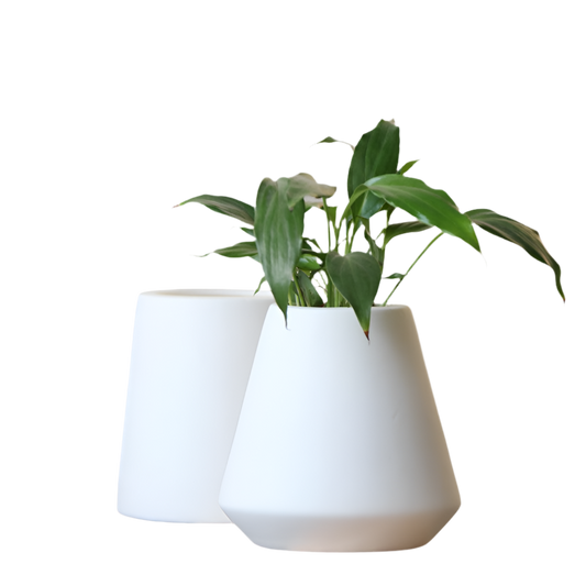 White ceramic green plants