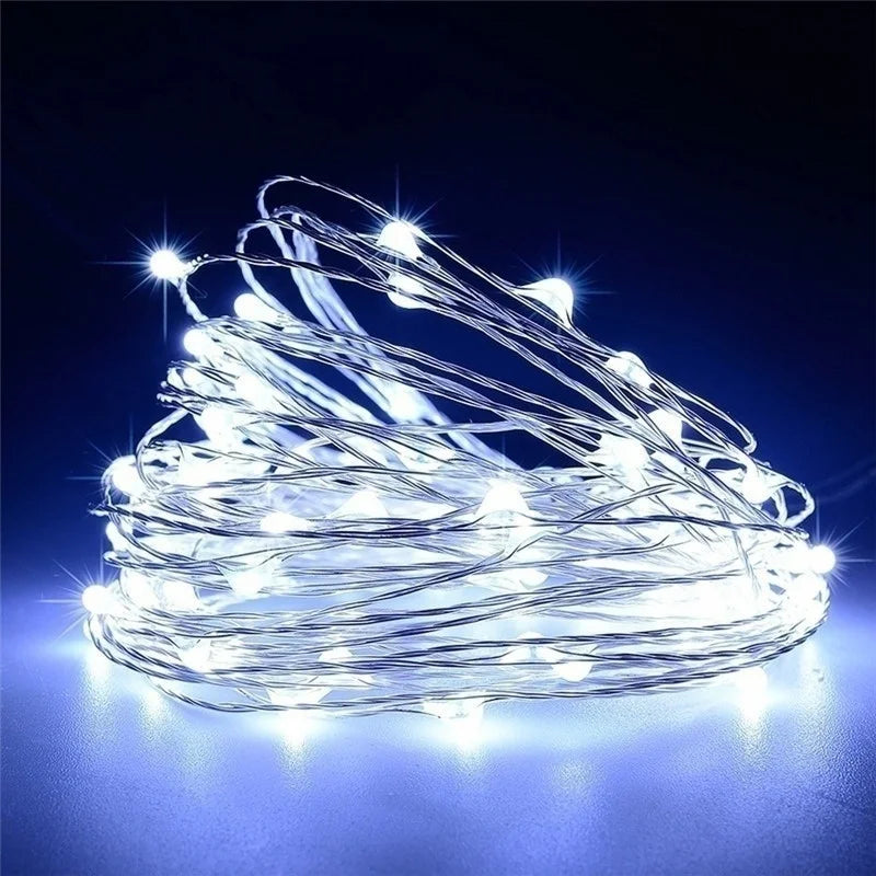 20M USB/Battery LED String Light Copper Silver Wire