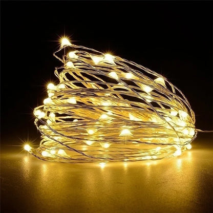 20M USB/Battery LED String Light Copper Silver Wire