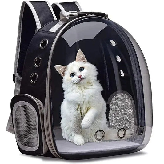 Cat Pet Carrier Backpack Transparent