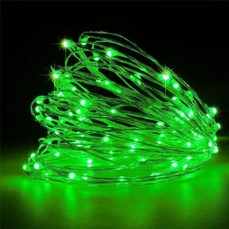 20M USB/Battery LED String Light Copper Silver Wire