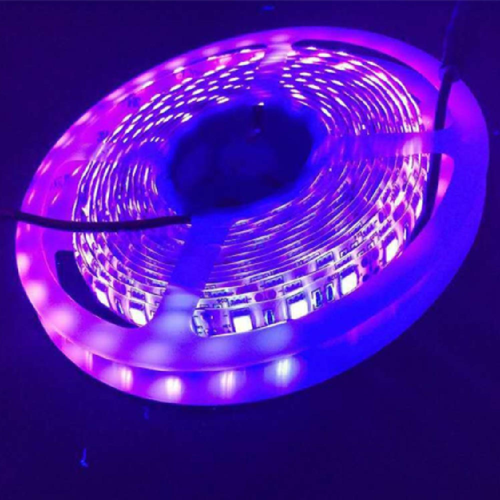 Purple LED Lights