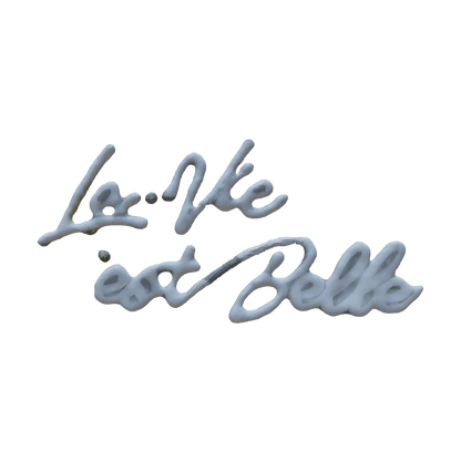 La Vie Est Belle Neon Light Sign (Life Is Beautiful)